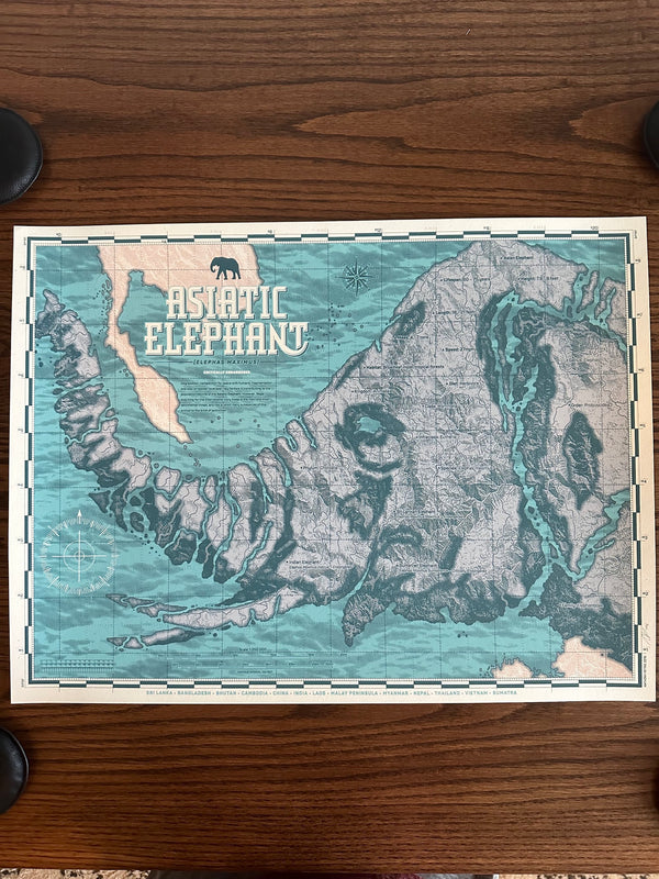 Anthony Petrie - Asiatic Elephant - 18x24 - Limited Edition Poster