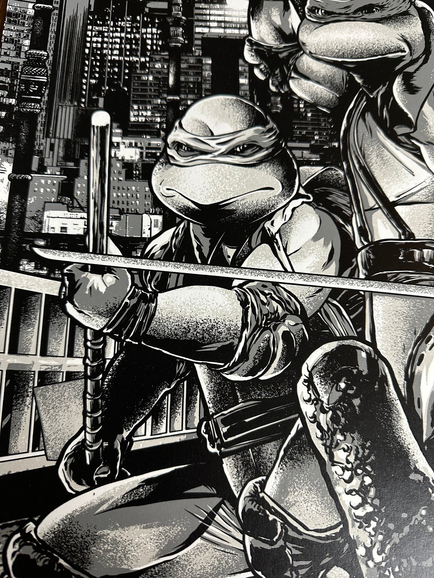 Anthony Petrie - Teenage Mutant Ninja Turtles 2 Variant 24x36 movie poster - detail image 3