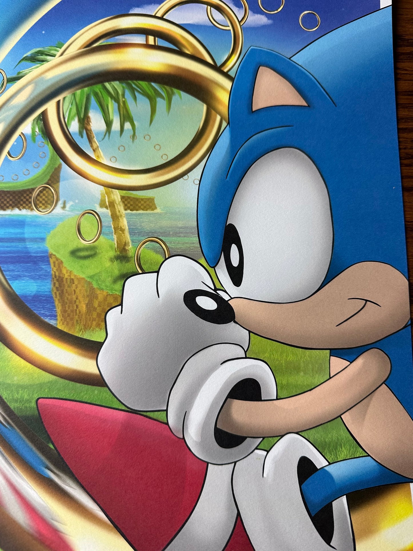 Andy Fairhurst - Sonic the Hedgehog 12x16 art print - detail image 3