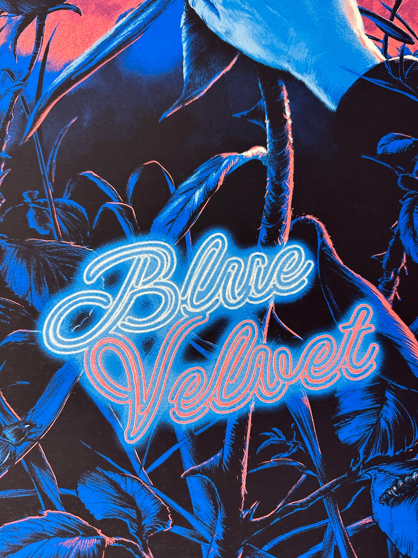 Juan Esteban - Blue Velvet 18x24 movie poster - detail image 3