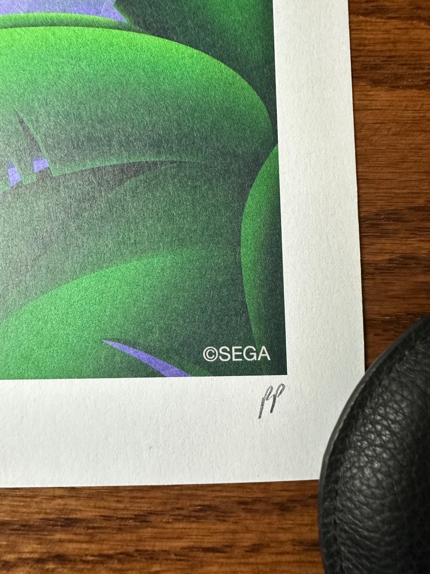 Mark Hughes - Sonic Superstars 16x24 movie poster - detail image 5