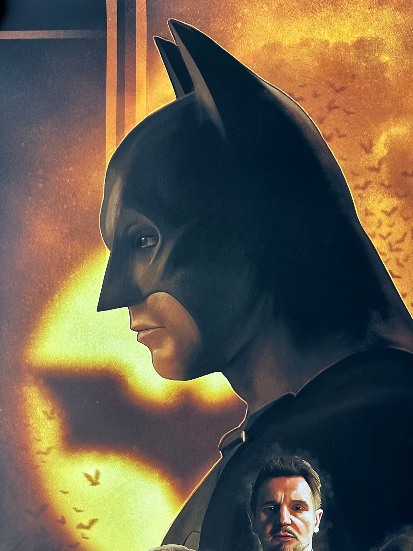 Rich Davies - Batman Begins 24x36 movie poster - detail image 2