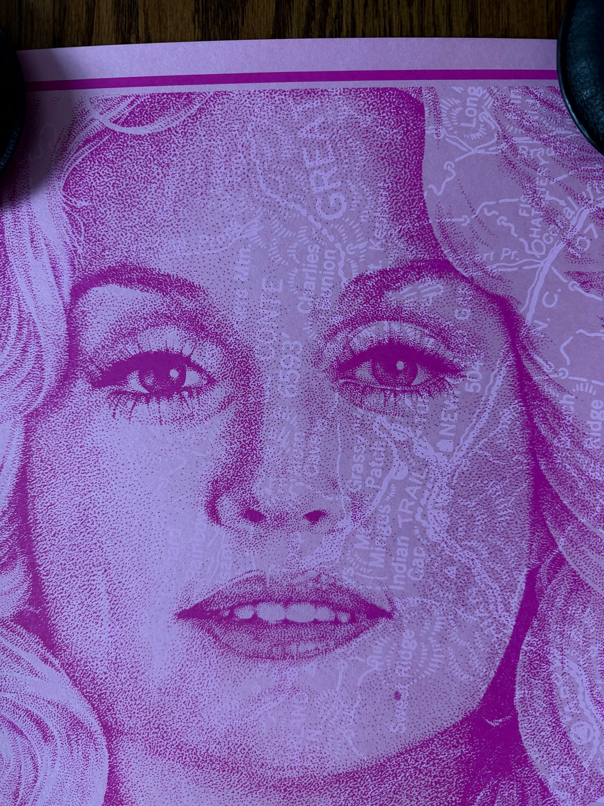 Timothy Pittides - Dolly Parton Mountain Siren - 12x24 - Limited Edition Poster
