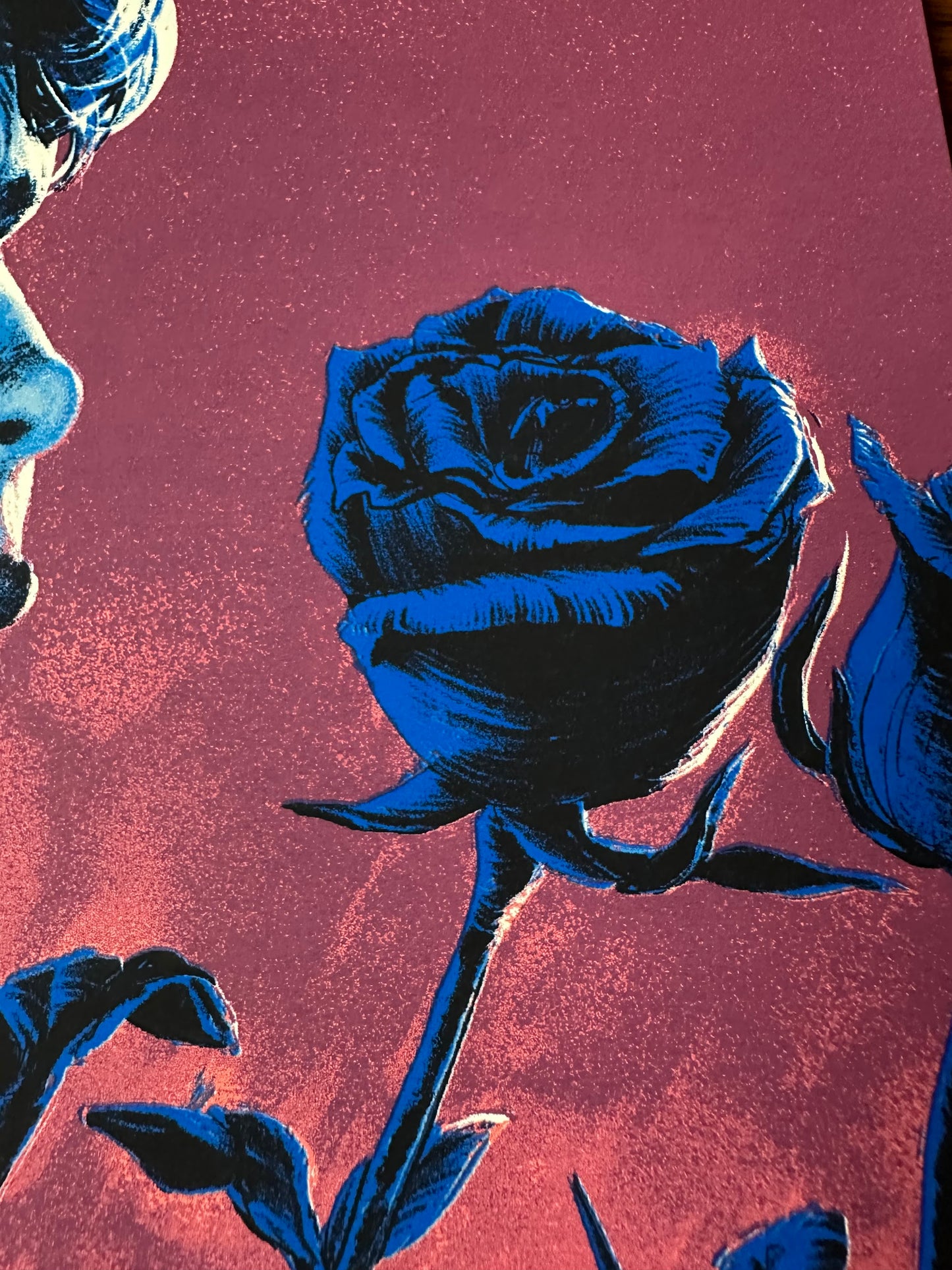 Juan Esteban - Blue Velvet 18x24 movie poster - detail image 4
