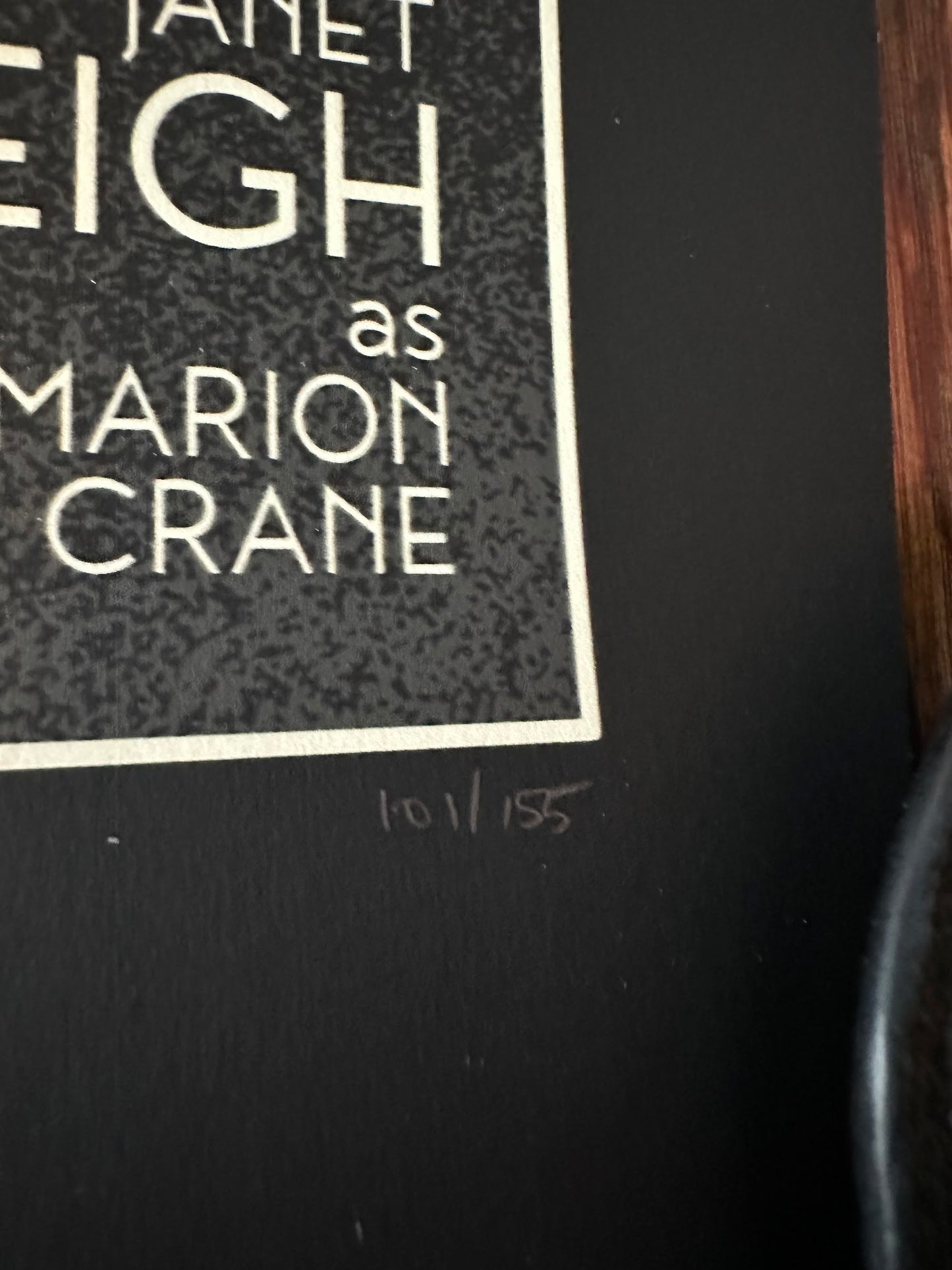 Danny Haas - Psycho 12x36 movie poster - detail image 5