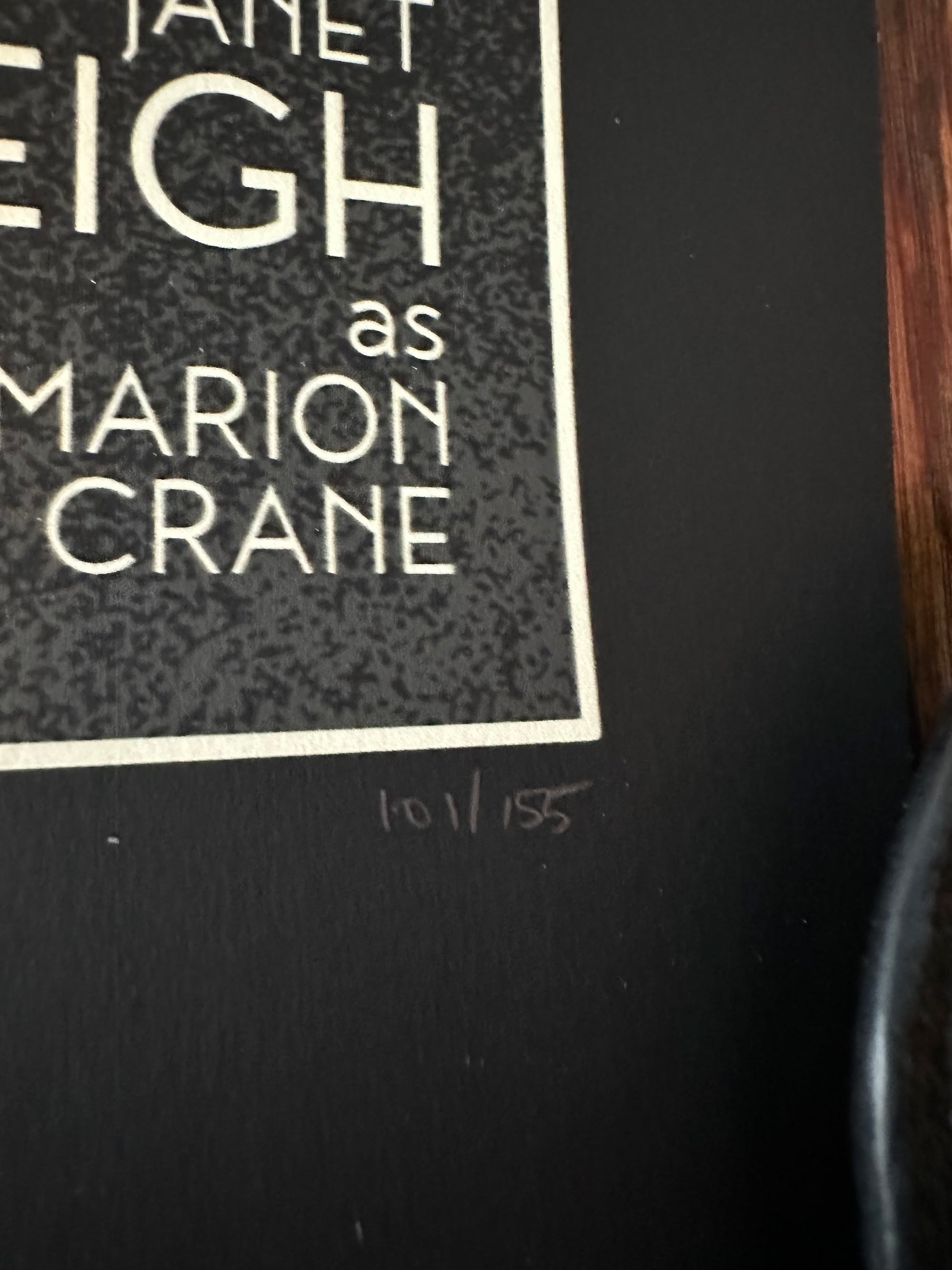 Danny Haas - Psycho 12x36 movie poster - detail image 5