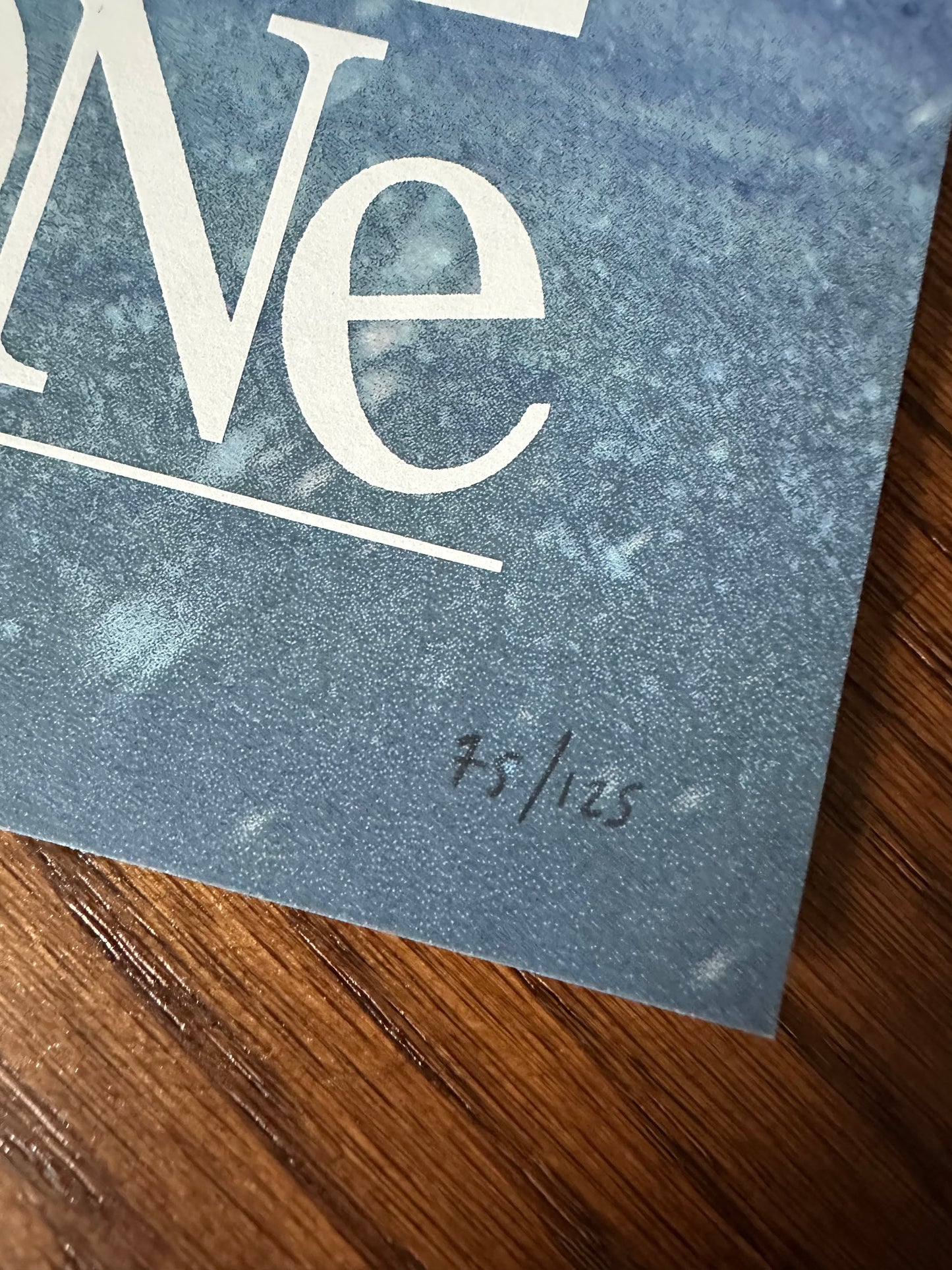 Kevin Wilson - Home Alone 36x24 movie poster - detail image 8