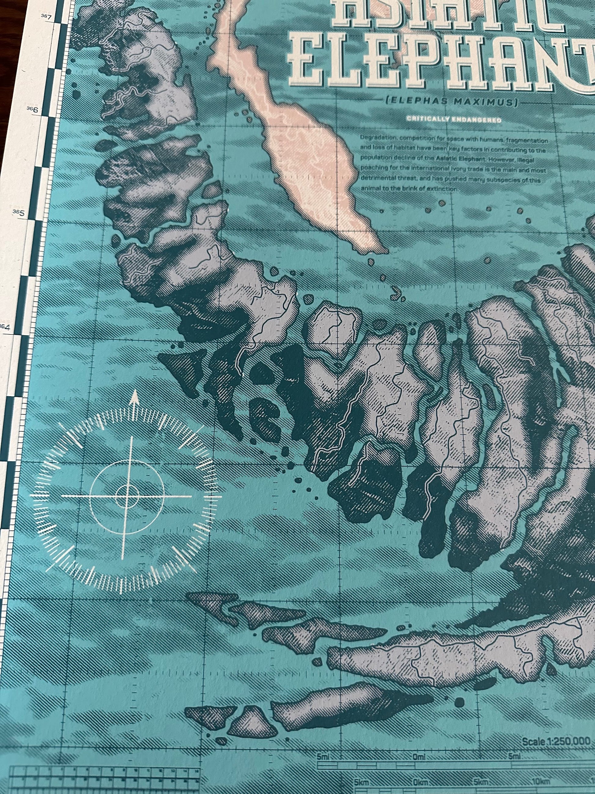 Anthony Petrie - Asiatic Elephant 18x24 movie poster - detail image 5