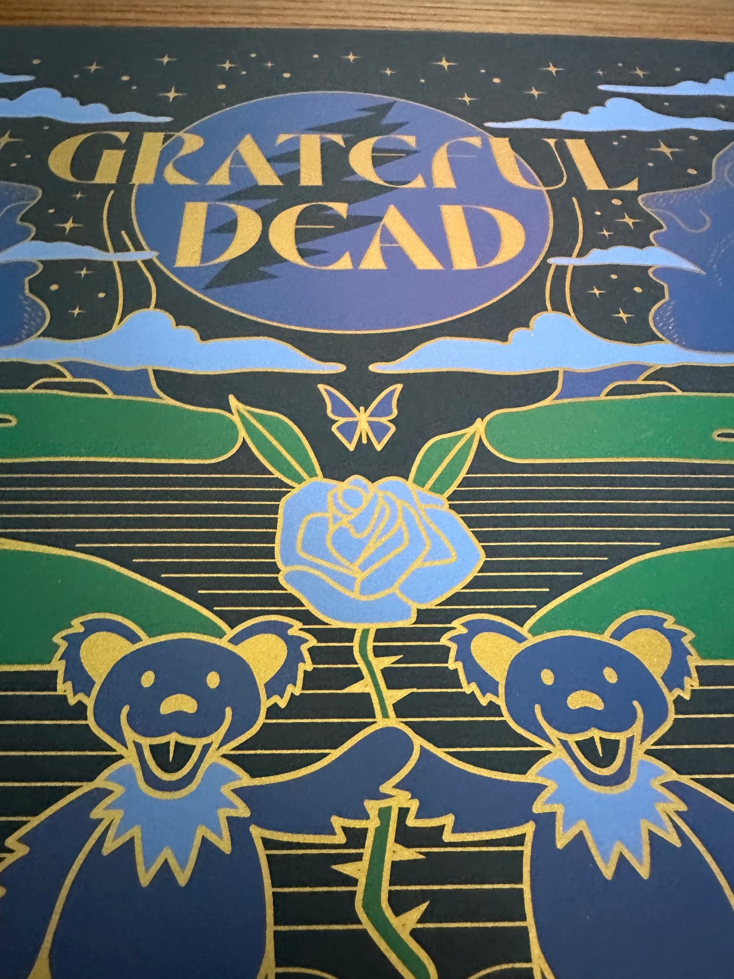 Brian Steely - Grateful Dead 24x18 movie poster - detail image 4