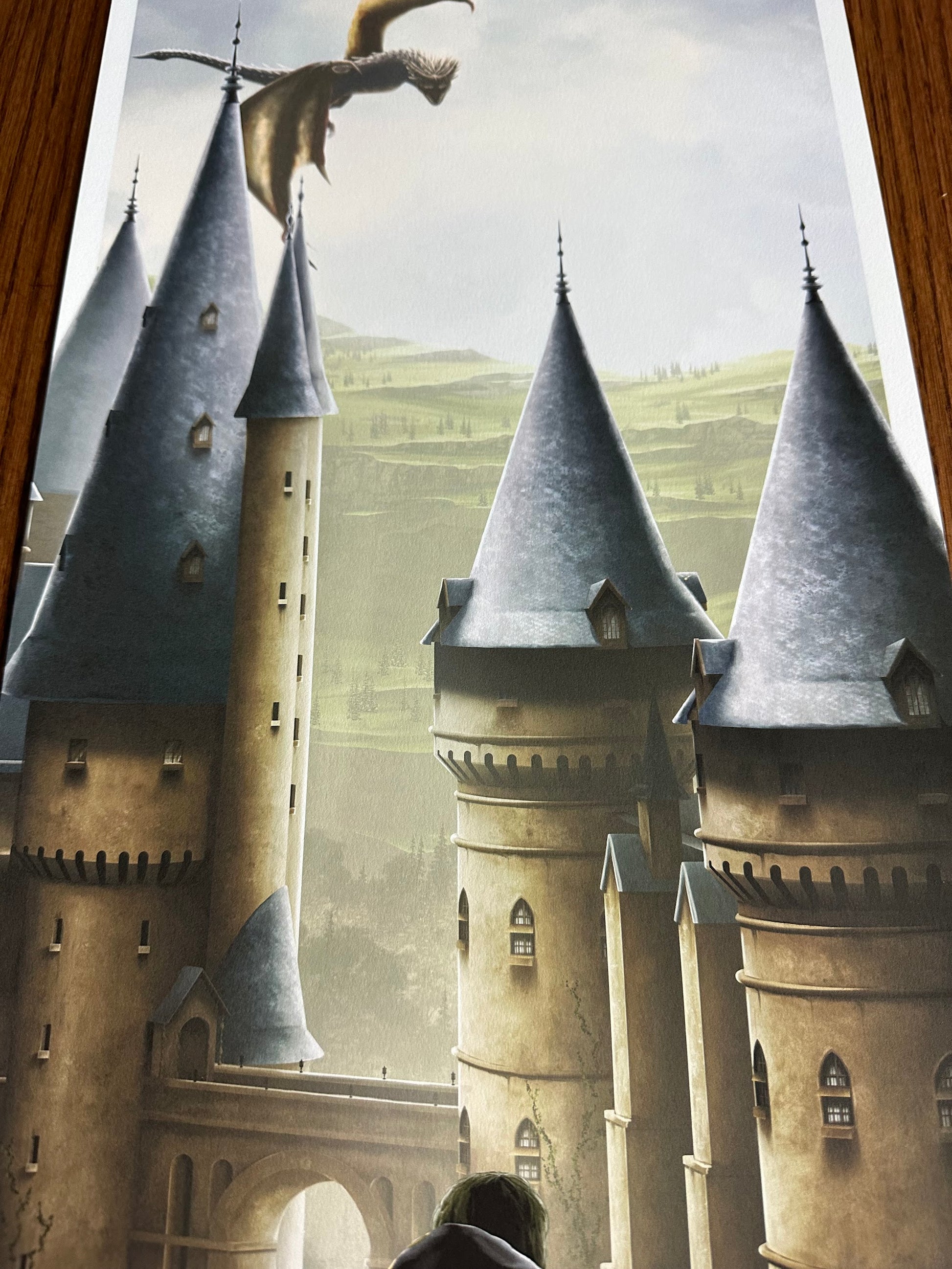 Ben Harman - Harry Potter and the Goblet of Fire 12x36 movie poster - detail image 4