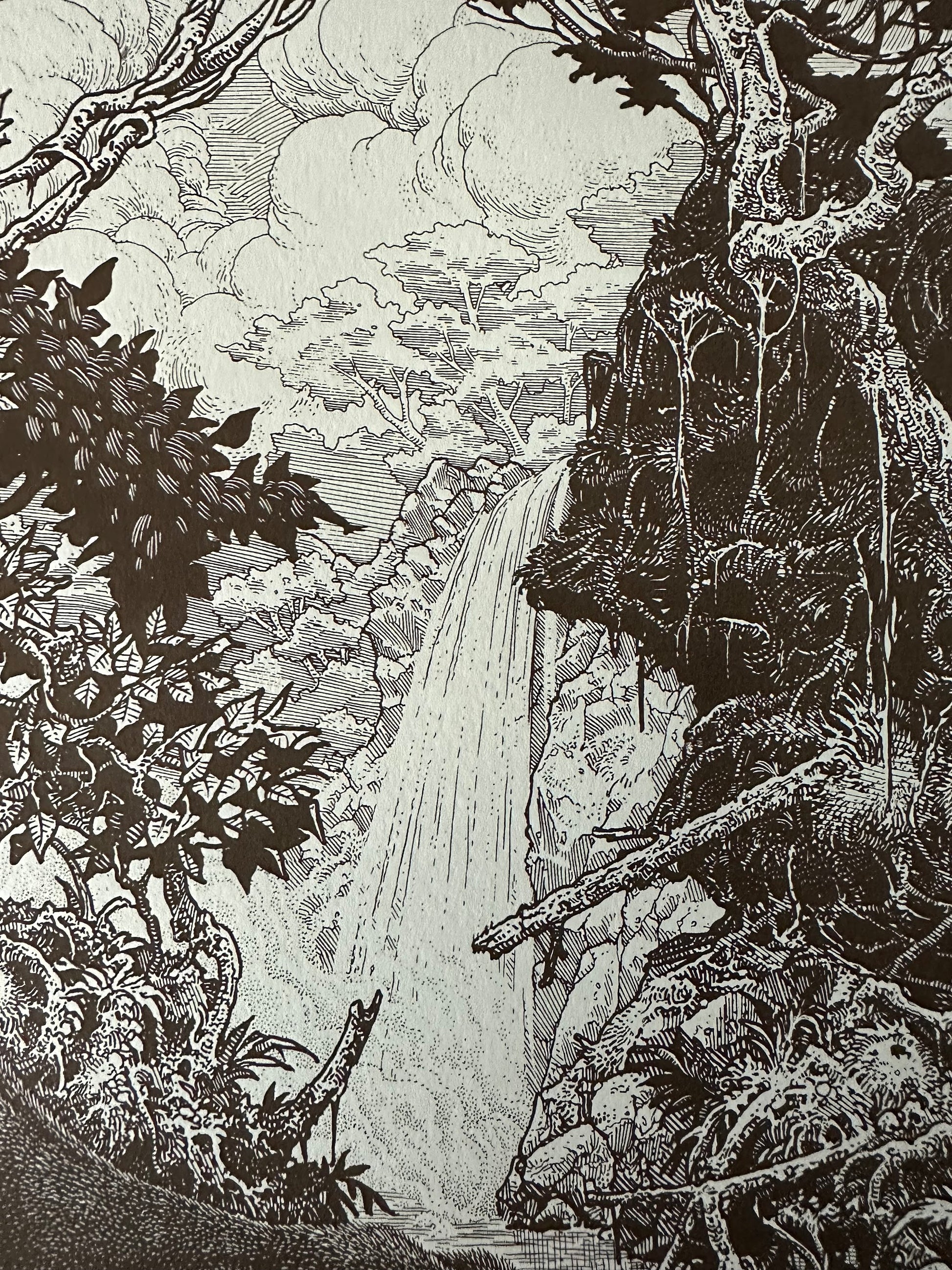 Brandon Holt - The Jungle Book 24x30 movie poster - detail image 5