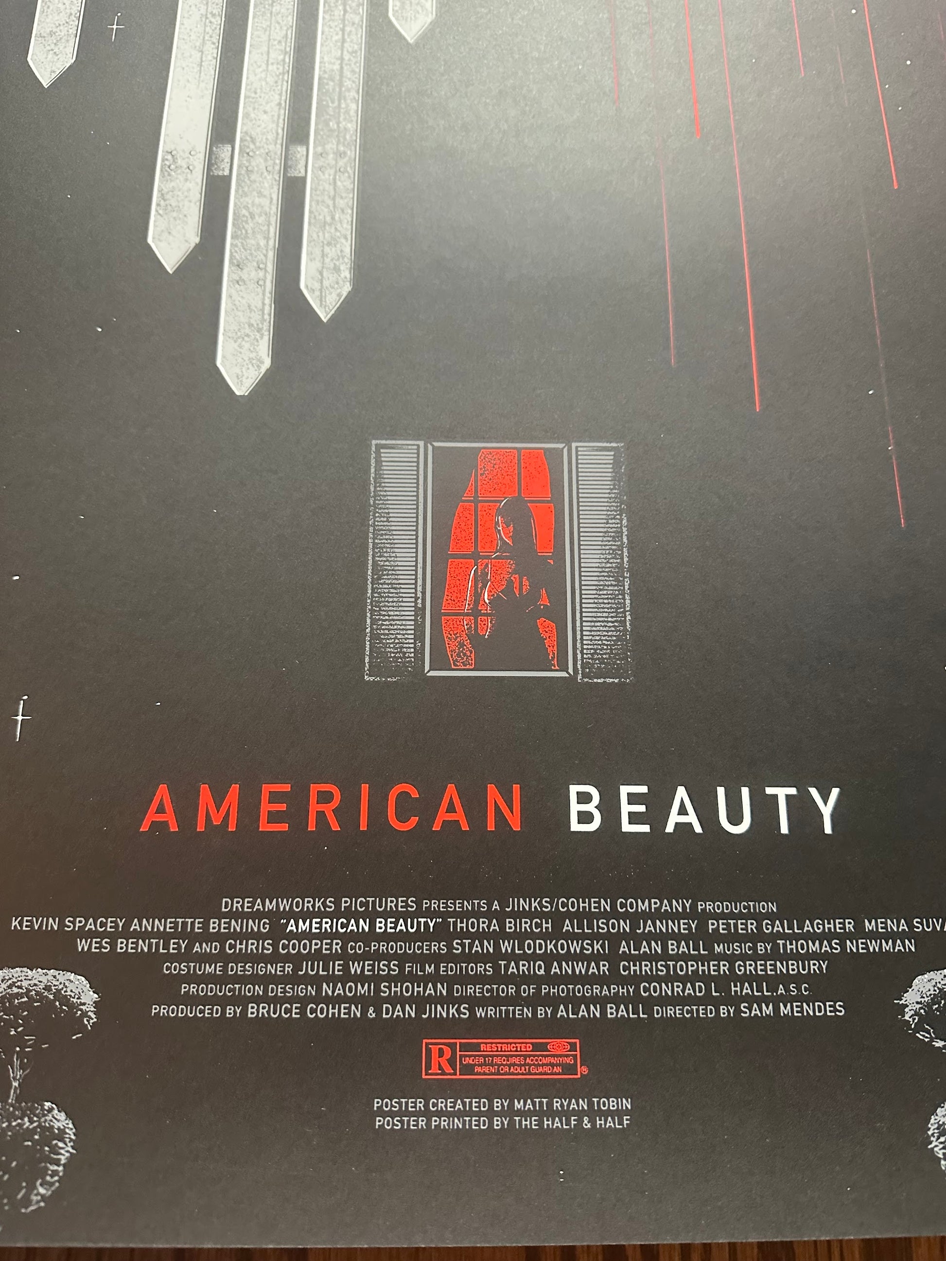 Matt Ryan Tobin - American Beauty 24x36 movie poster - detail image 7