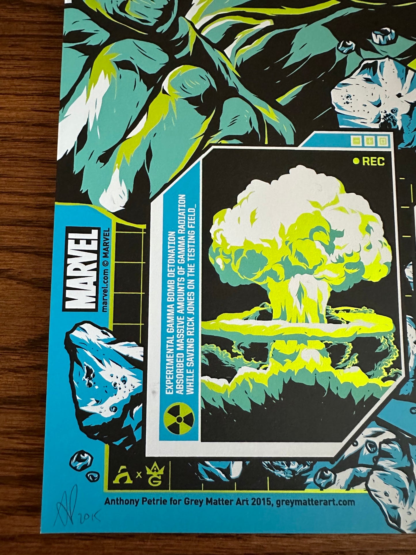 Anthony Petrie - Shield Files Hulk 18x24 movie poster - detail image 3