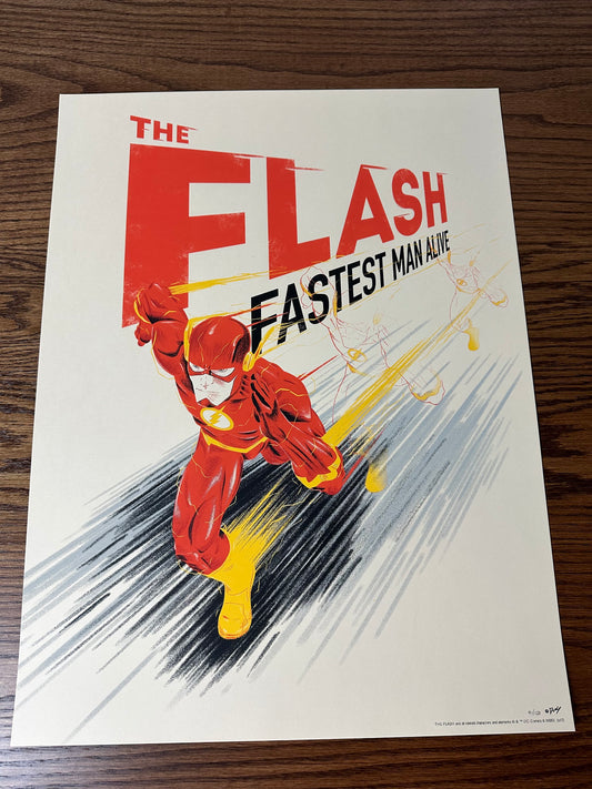 Doaly - The Flash 18x24 movie poster - detail image 3
