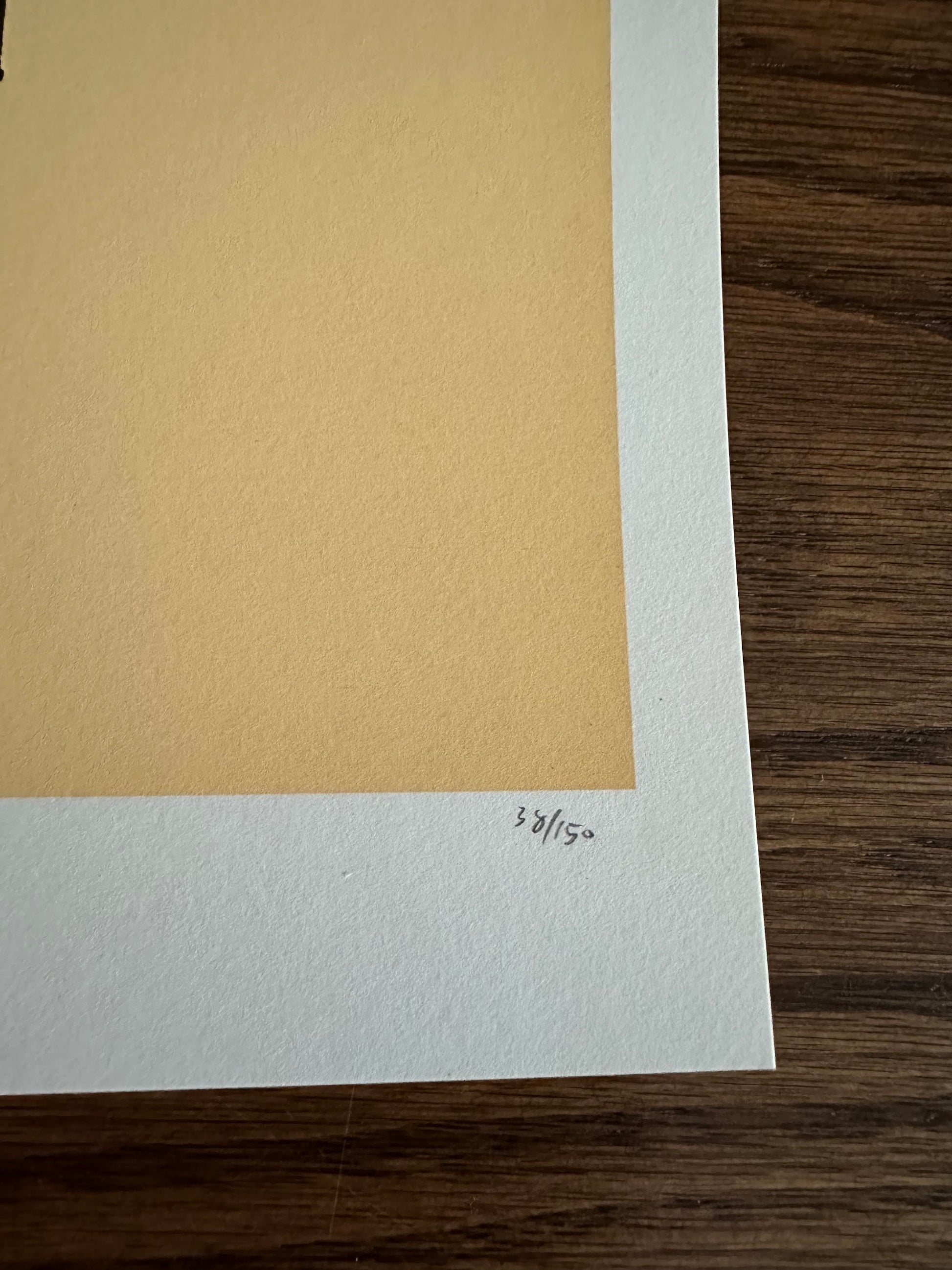 Tim Doyle - Venkman 16x20 movie poster - detail image 7