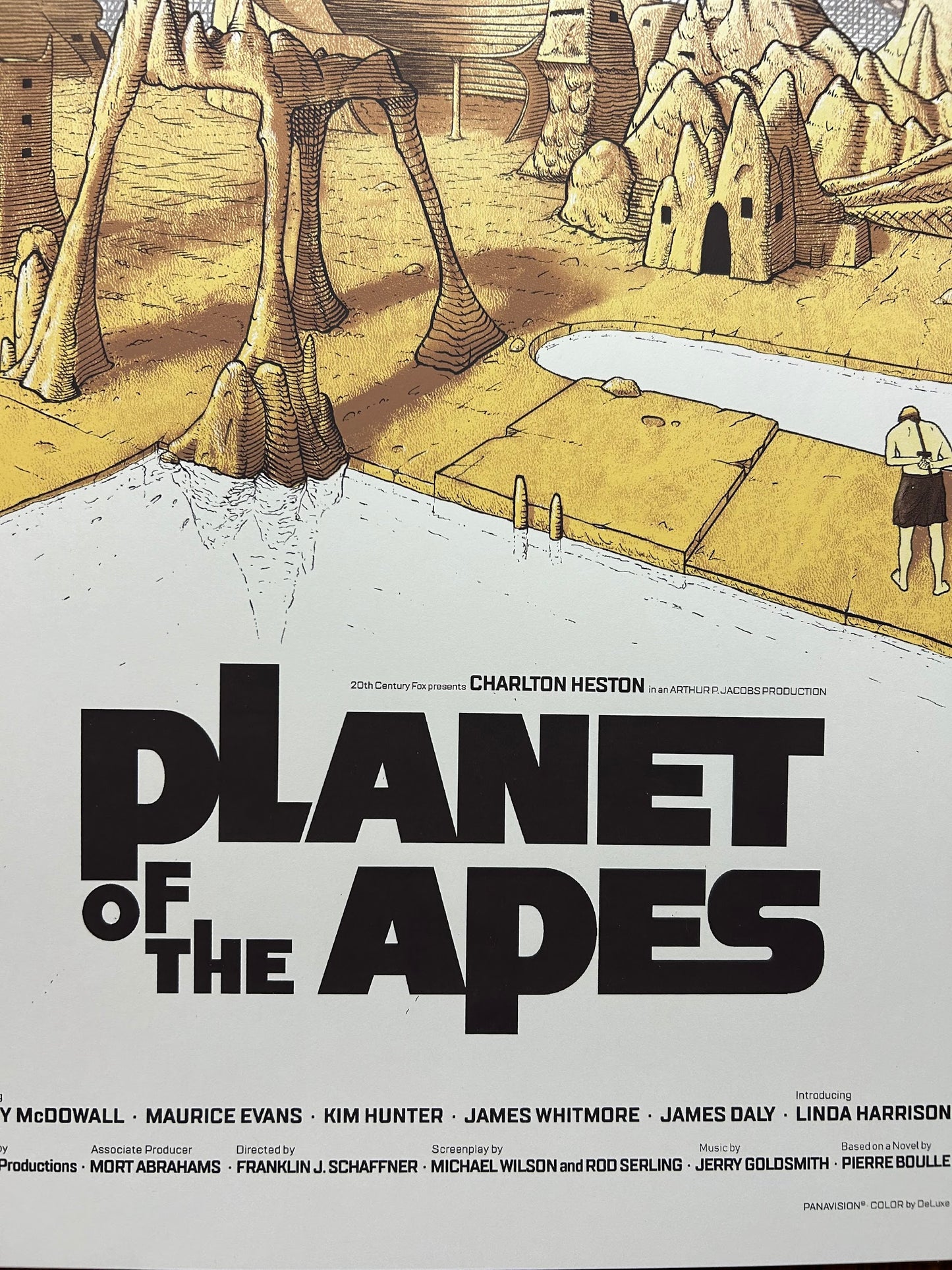 Cristian Eres - Planet of the Apes 24x36 movie poster - detail image 5