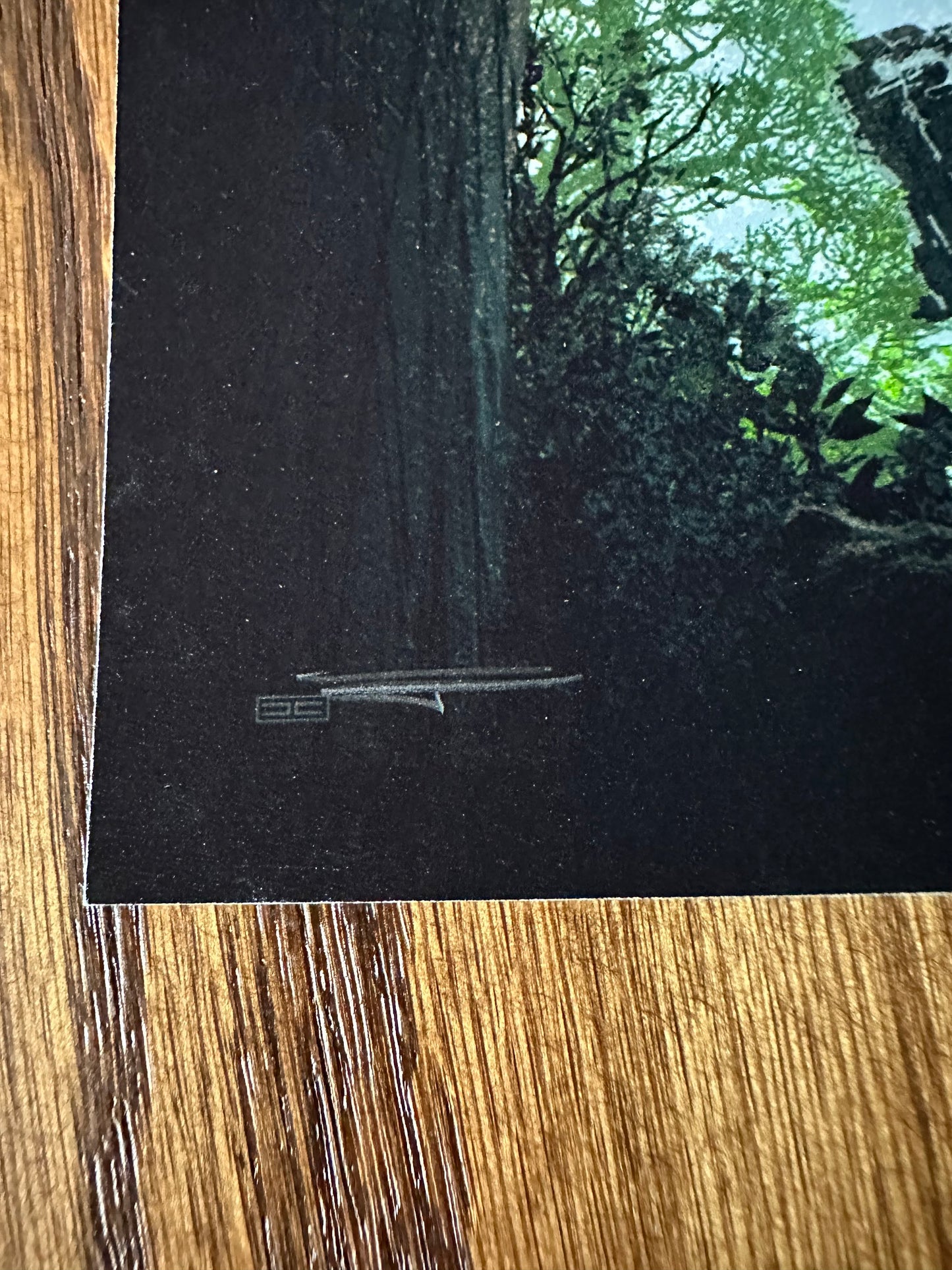 JC Richard - Star Wars Forest Sentries 6x8 art print - detail image 4