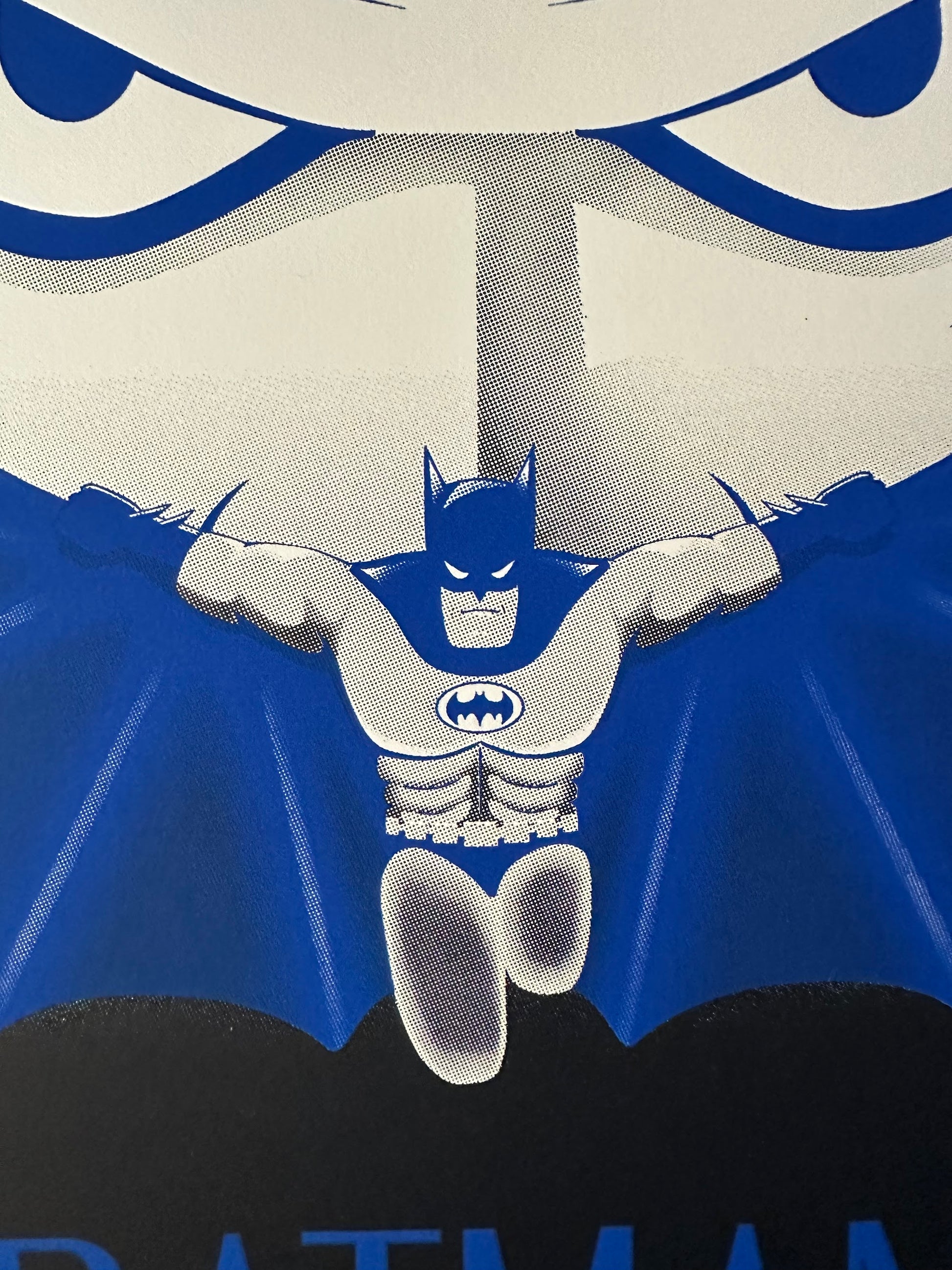 Jeany Ngo - Batman Animated Series 18x24 movie poster - detail image 3