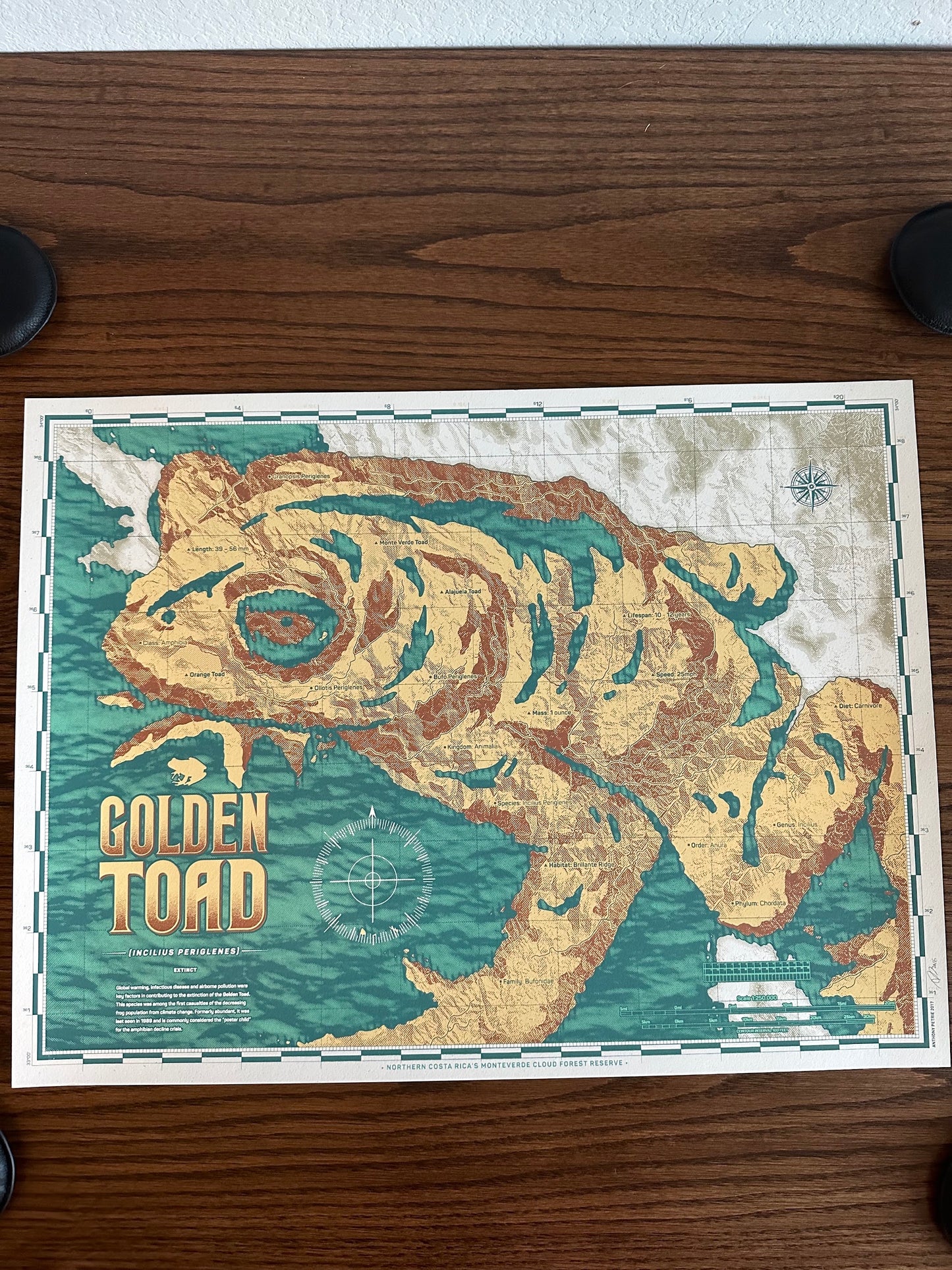 Anthony Petrie - Golden Toad Map 18x24 movie poster