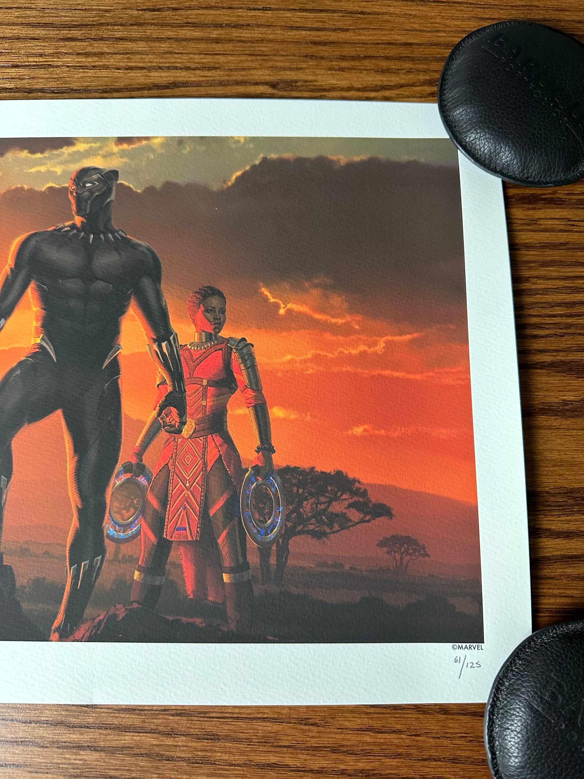 Ryan Meinerding - Marvel Black Panther Wakanda King 24x11.5 movie poster - detail image 4