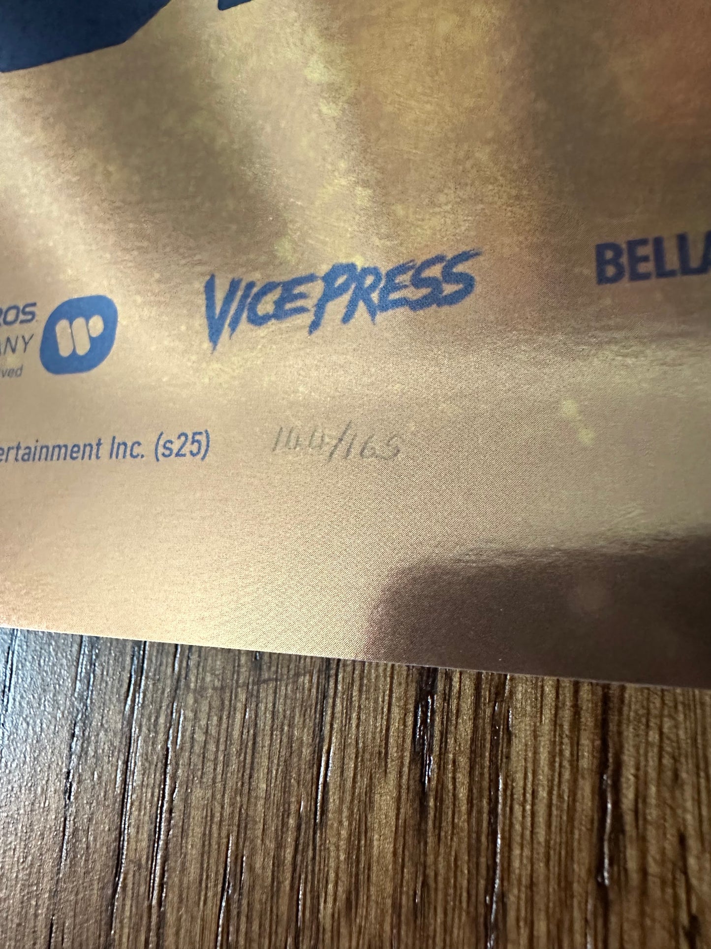 Bella Grace - The Goonies Foil Variant 24x36 movie poster - detail image 7