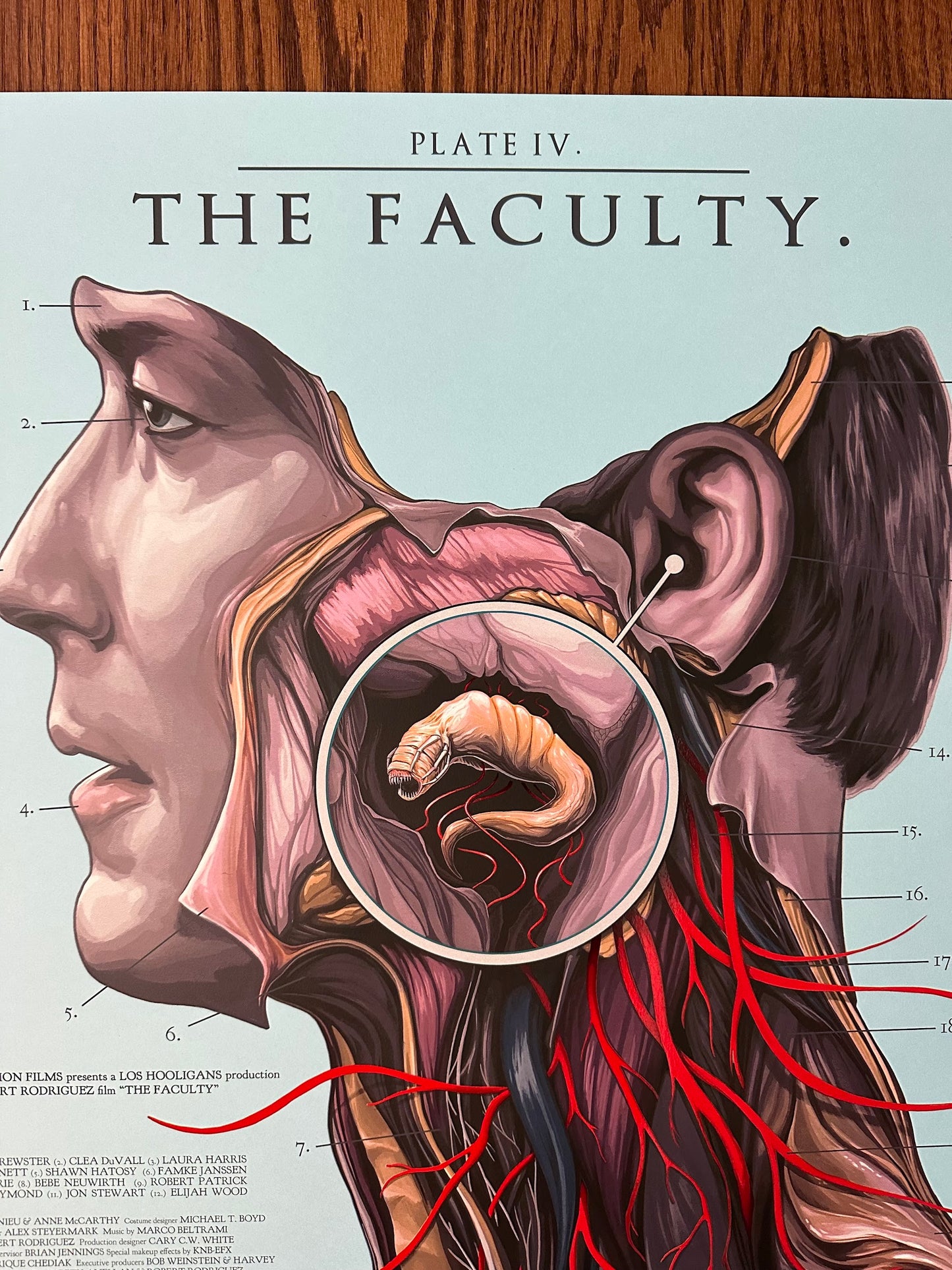 David Seidman - The Faculty 24x36 movie poster - detail image 2