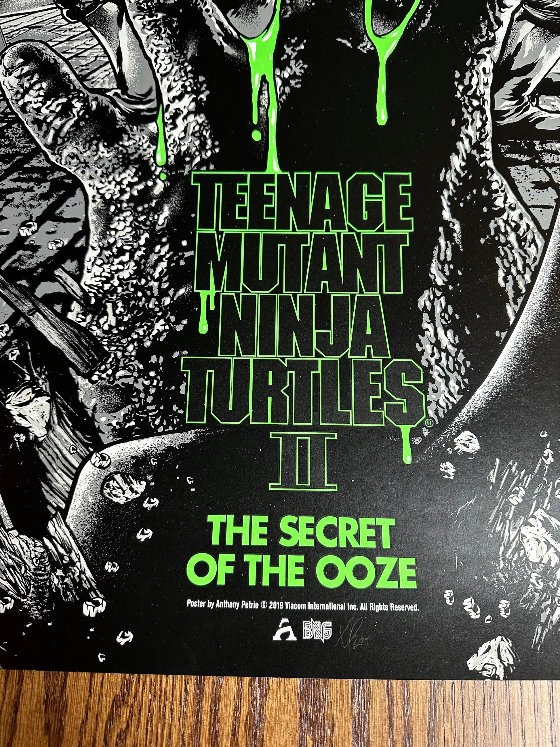 Anthony Petrie - Teenage Mutant Ninja Turtles 2 Variant 24x36 movie poster - detail image 6