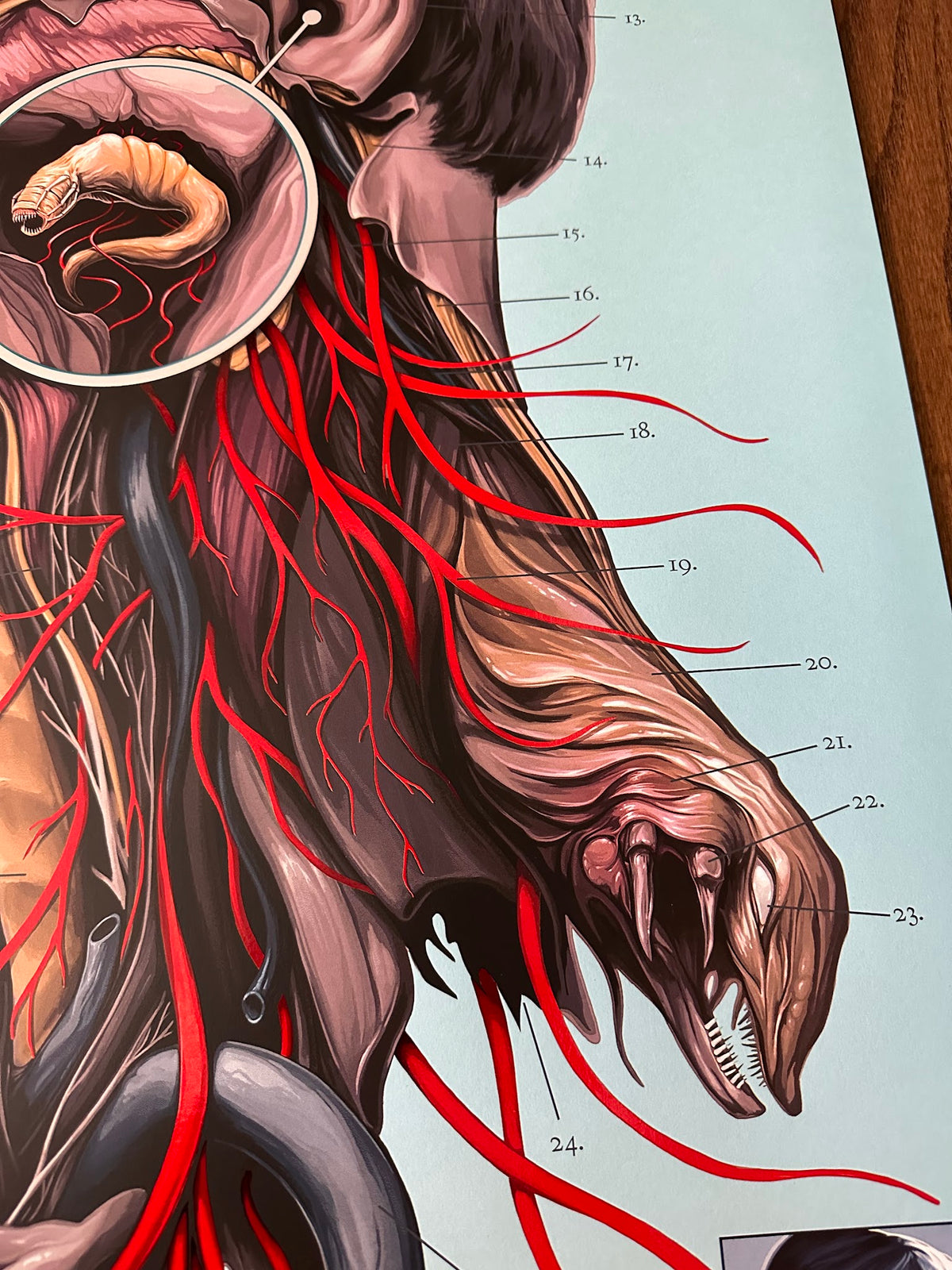David Seidman - The Faculty - 24x36 - Limited Edition Poster