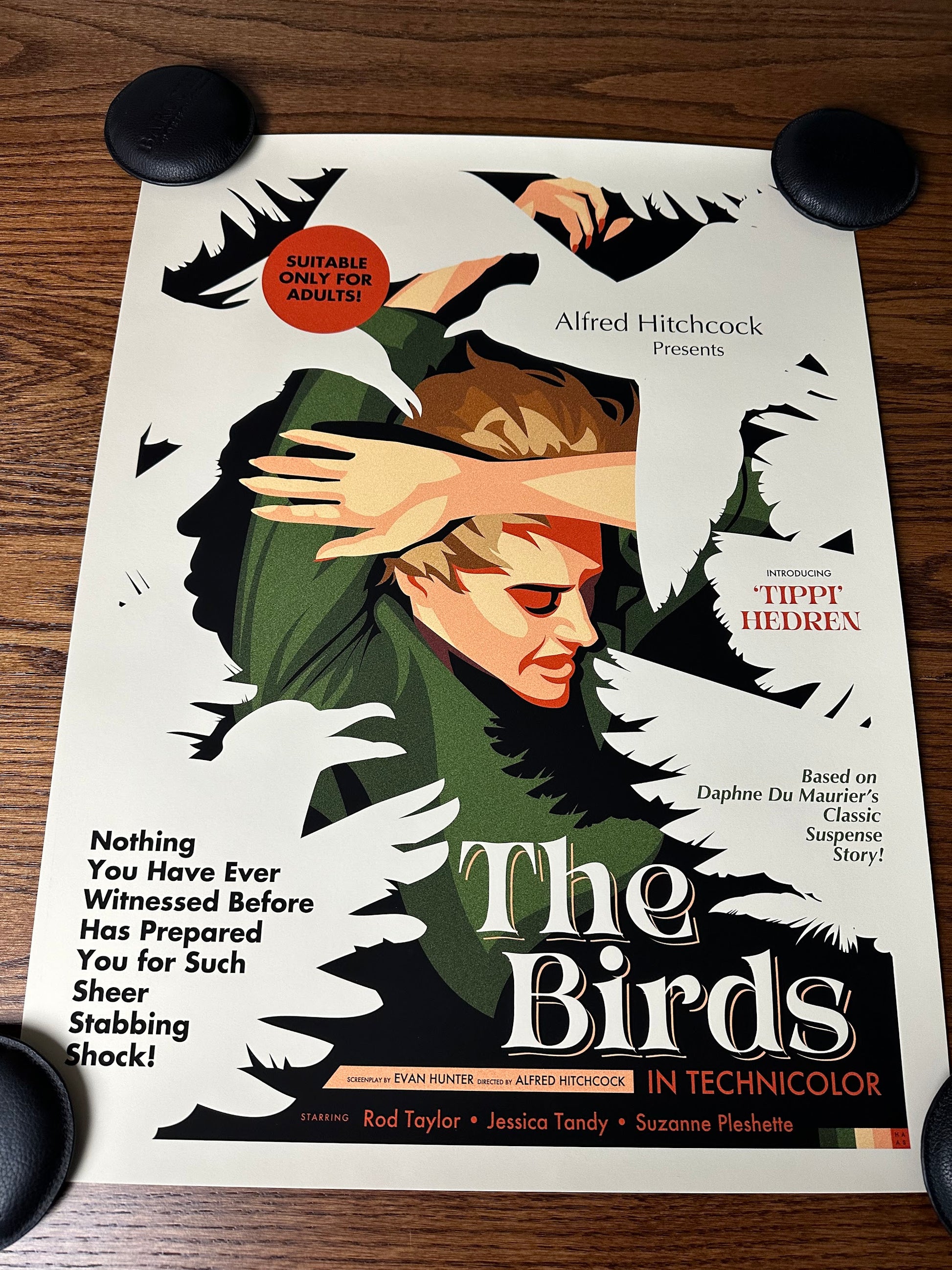 Danny Haas - The Birds 18x24 movie poster