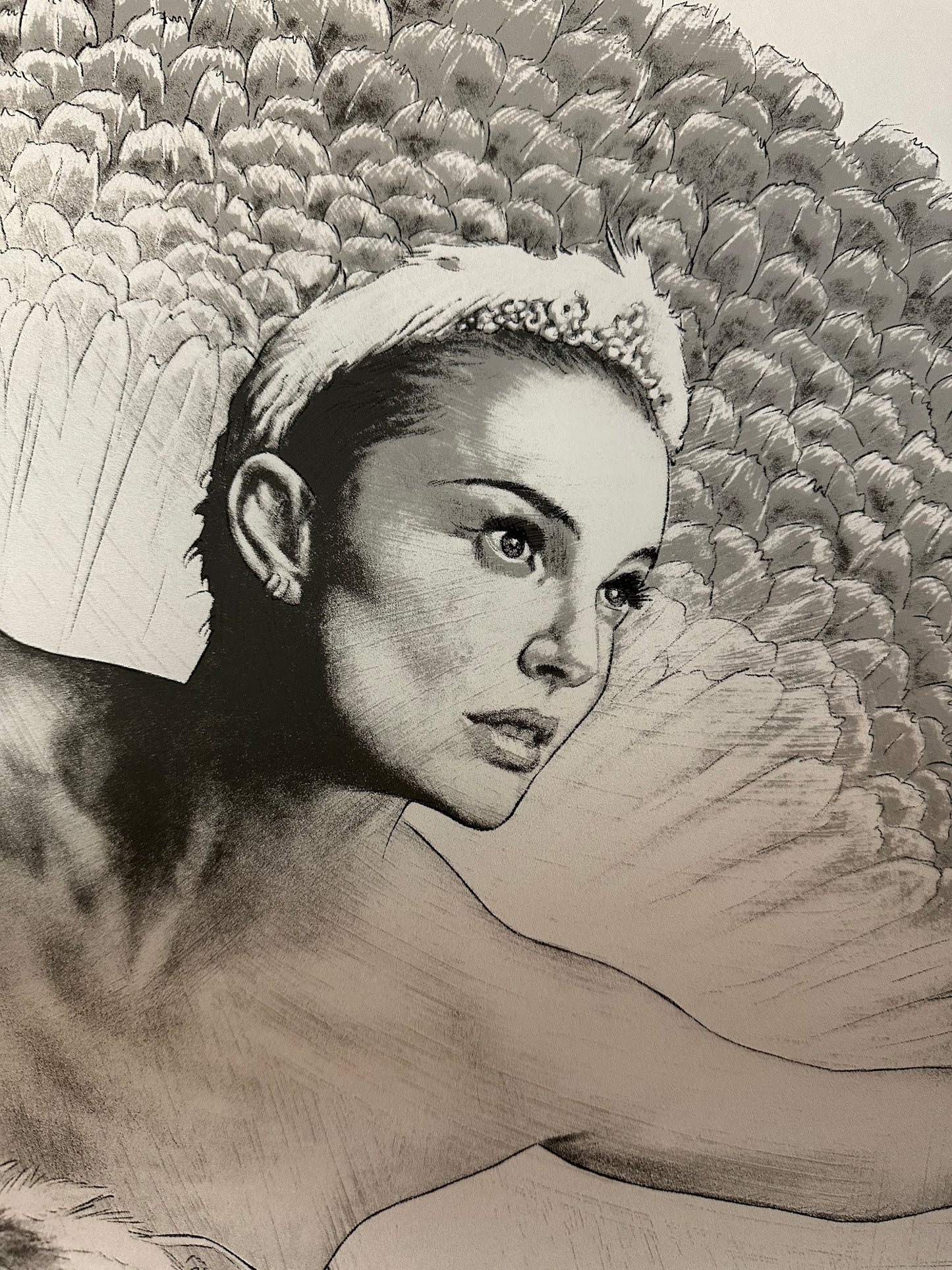 Neil Davies - Black Swan - 24x36 - Limited Edition Poster
