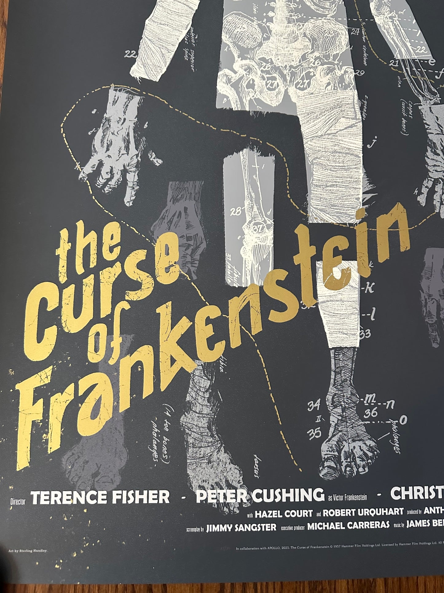 Sterling Hundley - The Curse of Frankenstein Variant 24x36 movie poster - detail image 4