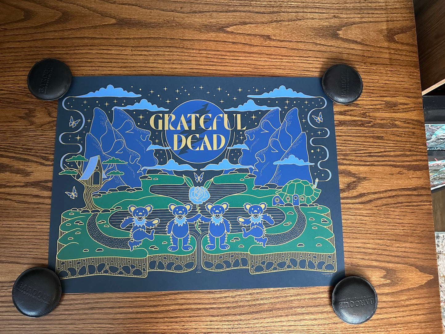 Brian Steely - Grateful Dead 24x18 movie poster