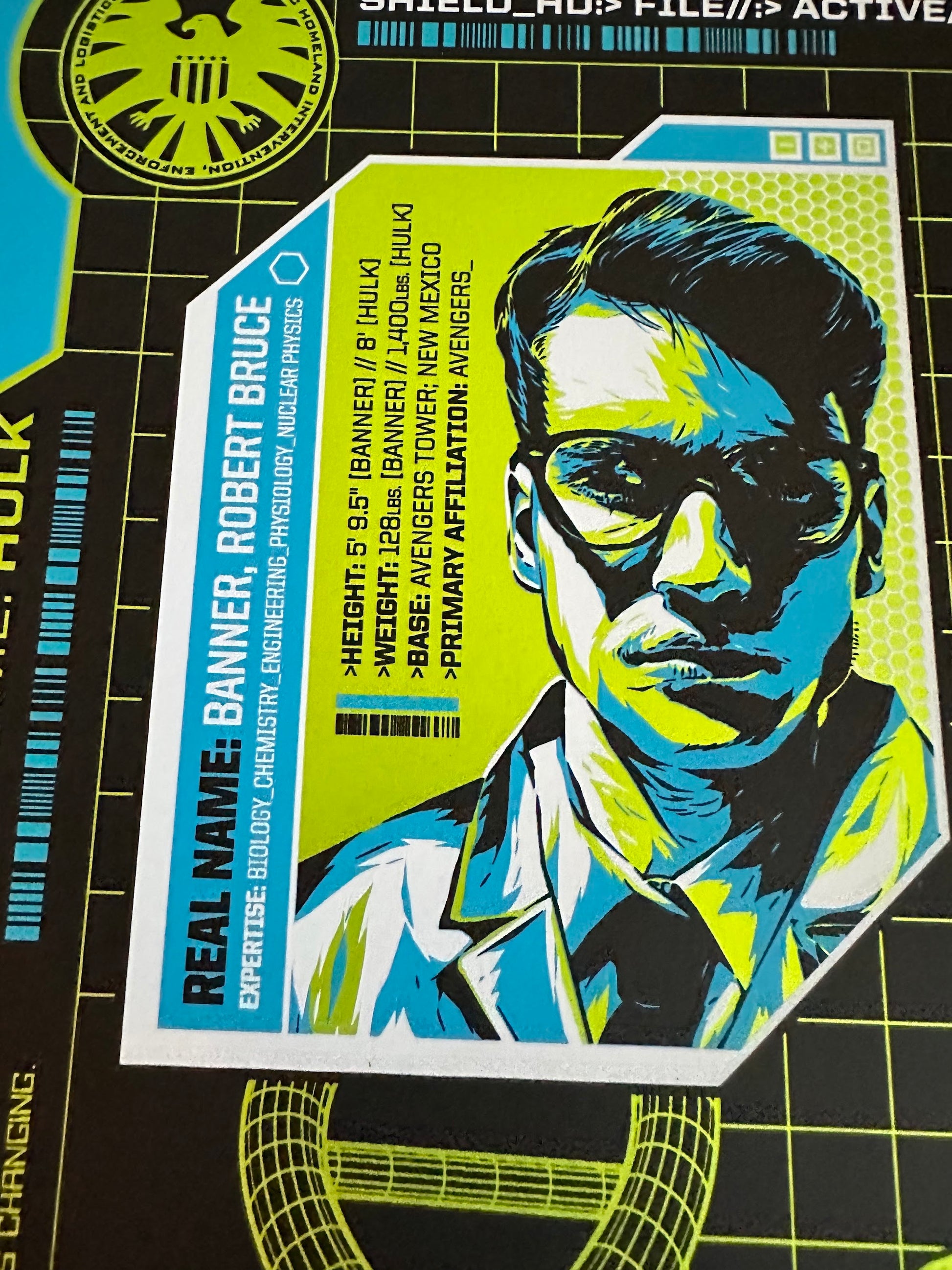 Anthony Petrie - Shield Files Hulk 18x24 movie poster - detail image 5