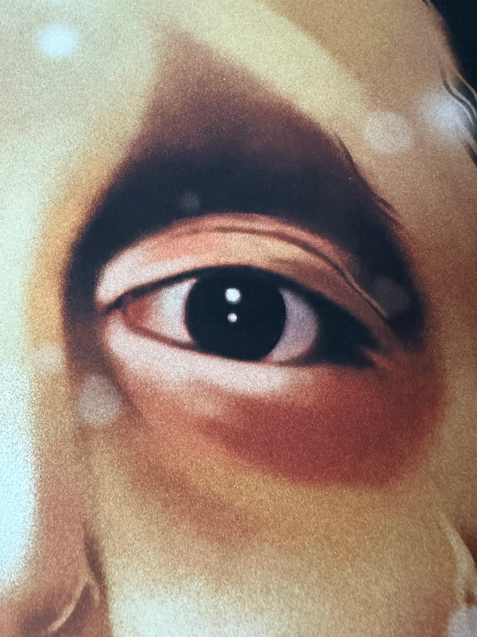Little Troublemaker - Edward Scissorhands 18x24 movie poster - detail image 3