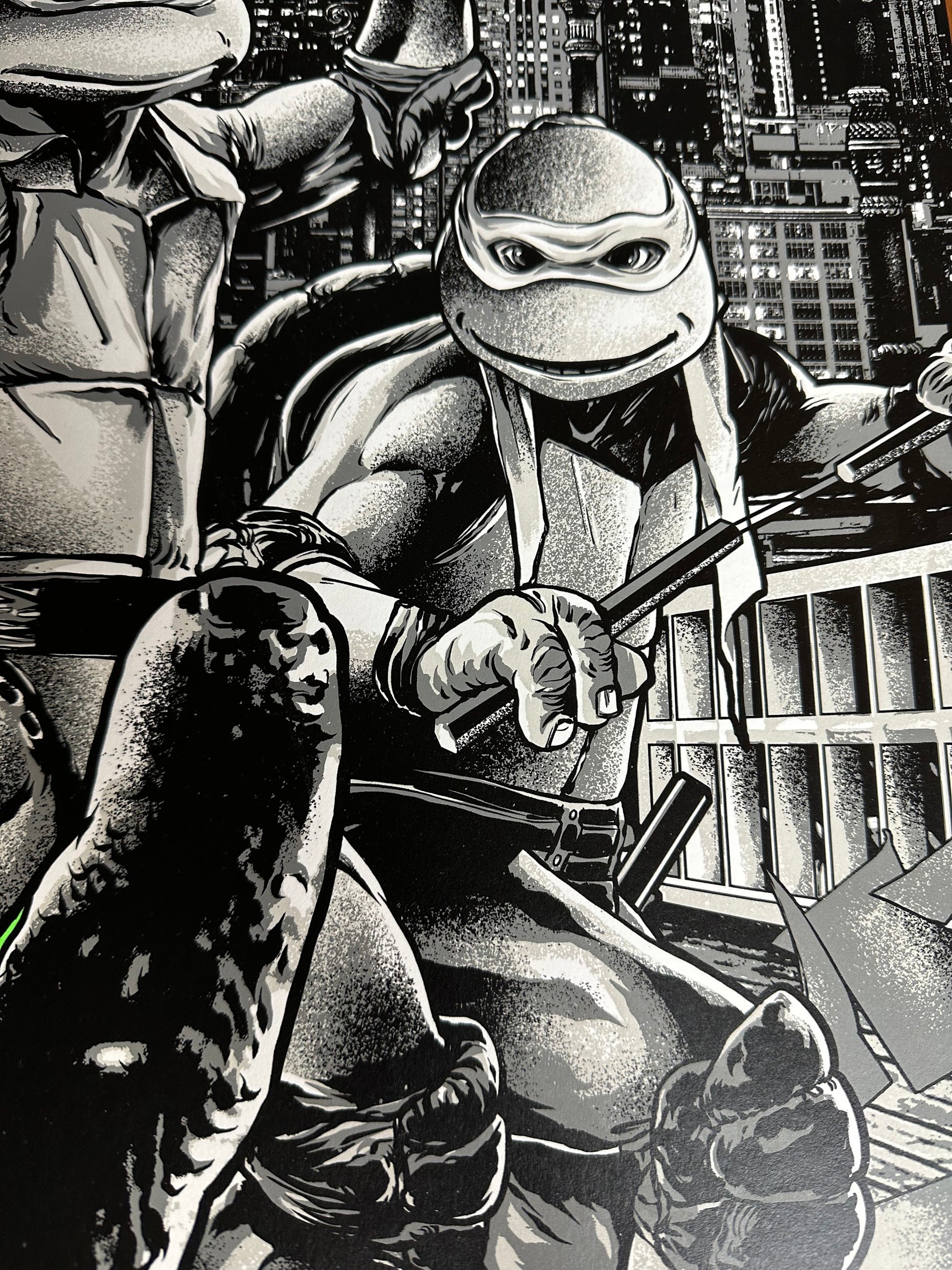 Anthony Petrie - Teenage Mutant Ninja Turtles 2 Variant 24x36 movie poster - detail image 4