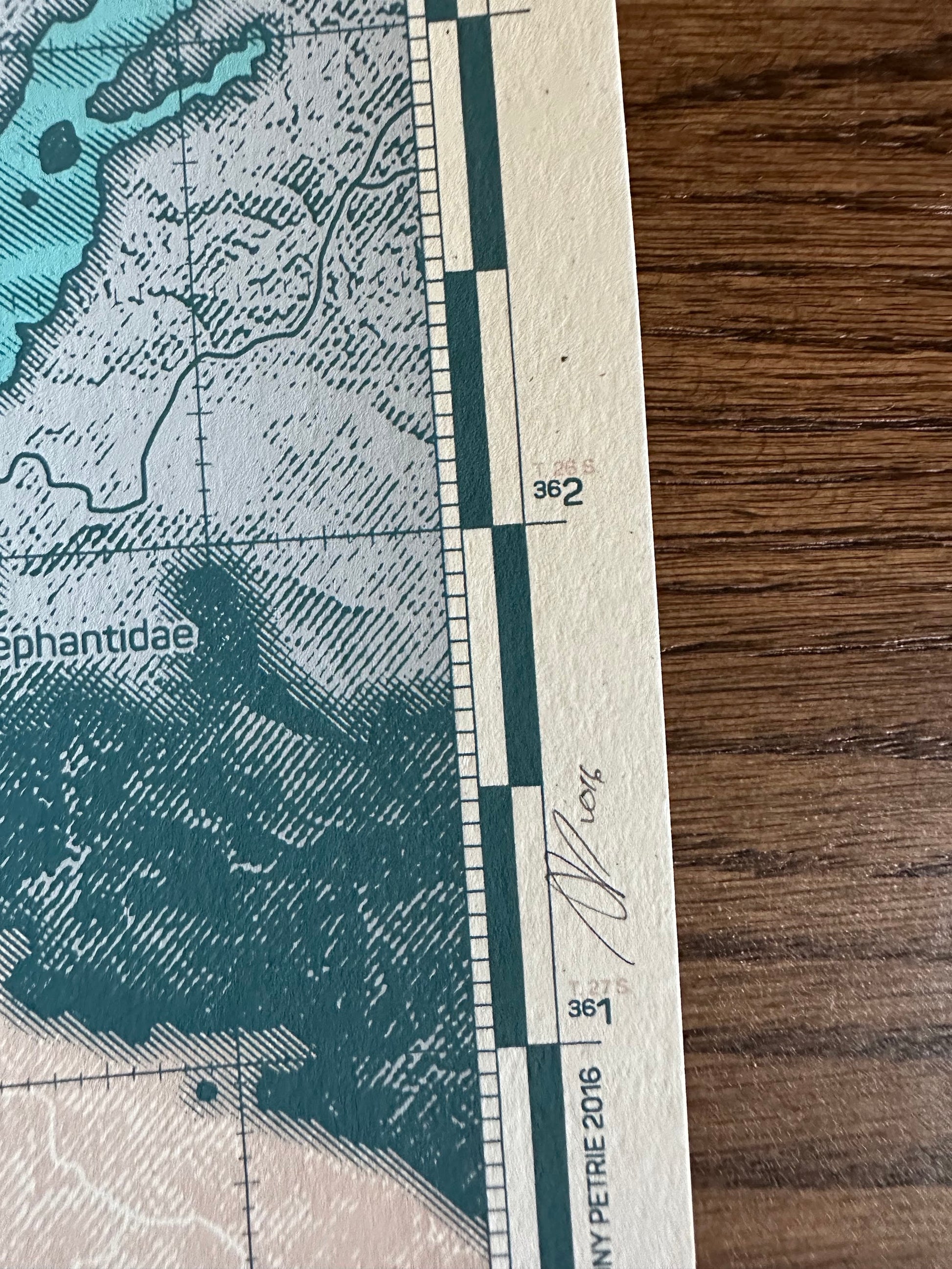 Anthony Petrie - Asiatic Elephant 18x24 movie poster - detail image 6