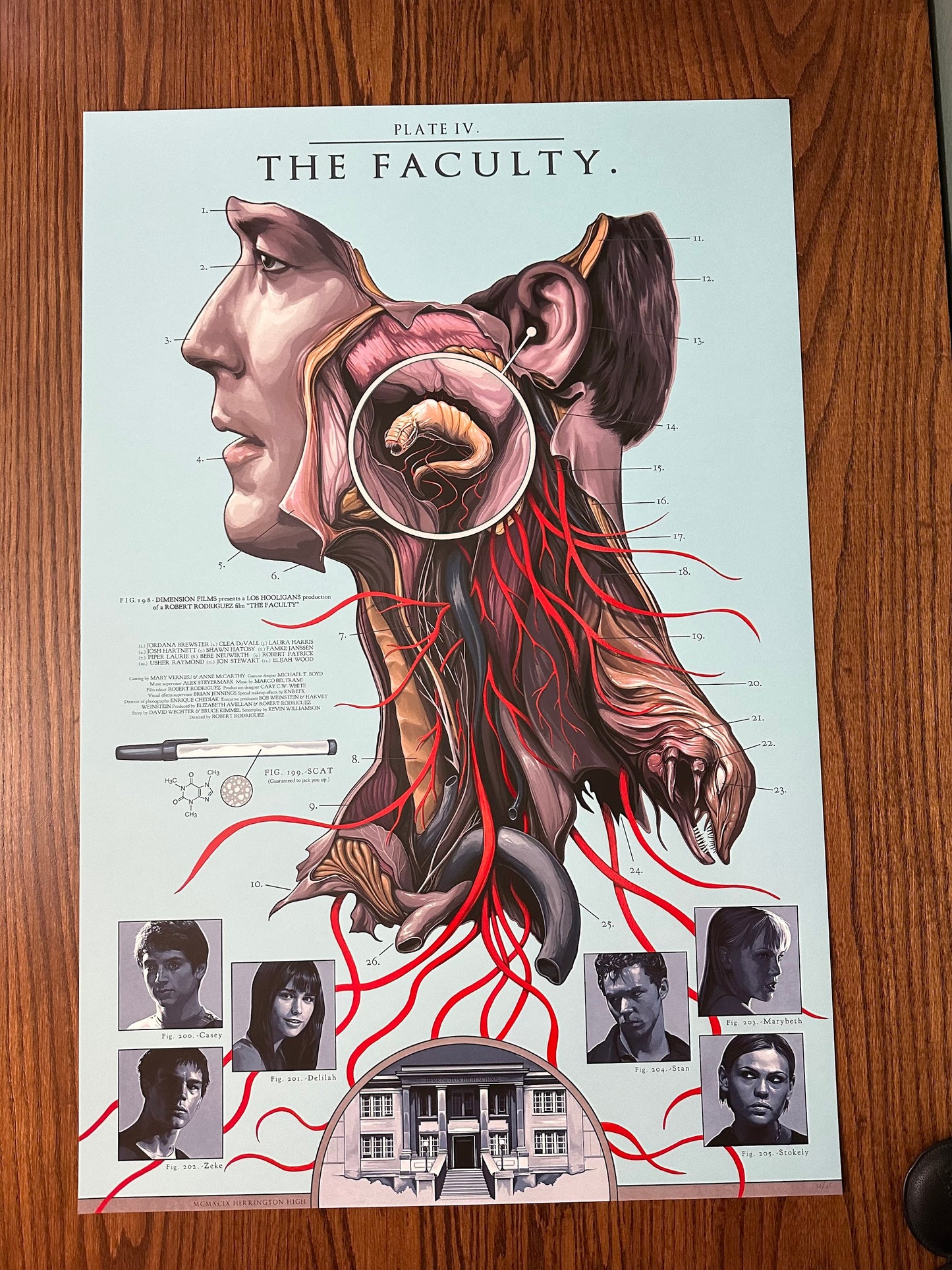 David Seidman - The Faculty 24x36 movie poster